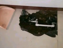 洞口卫生间测漏水多少钱